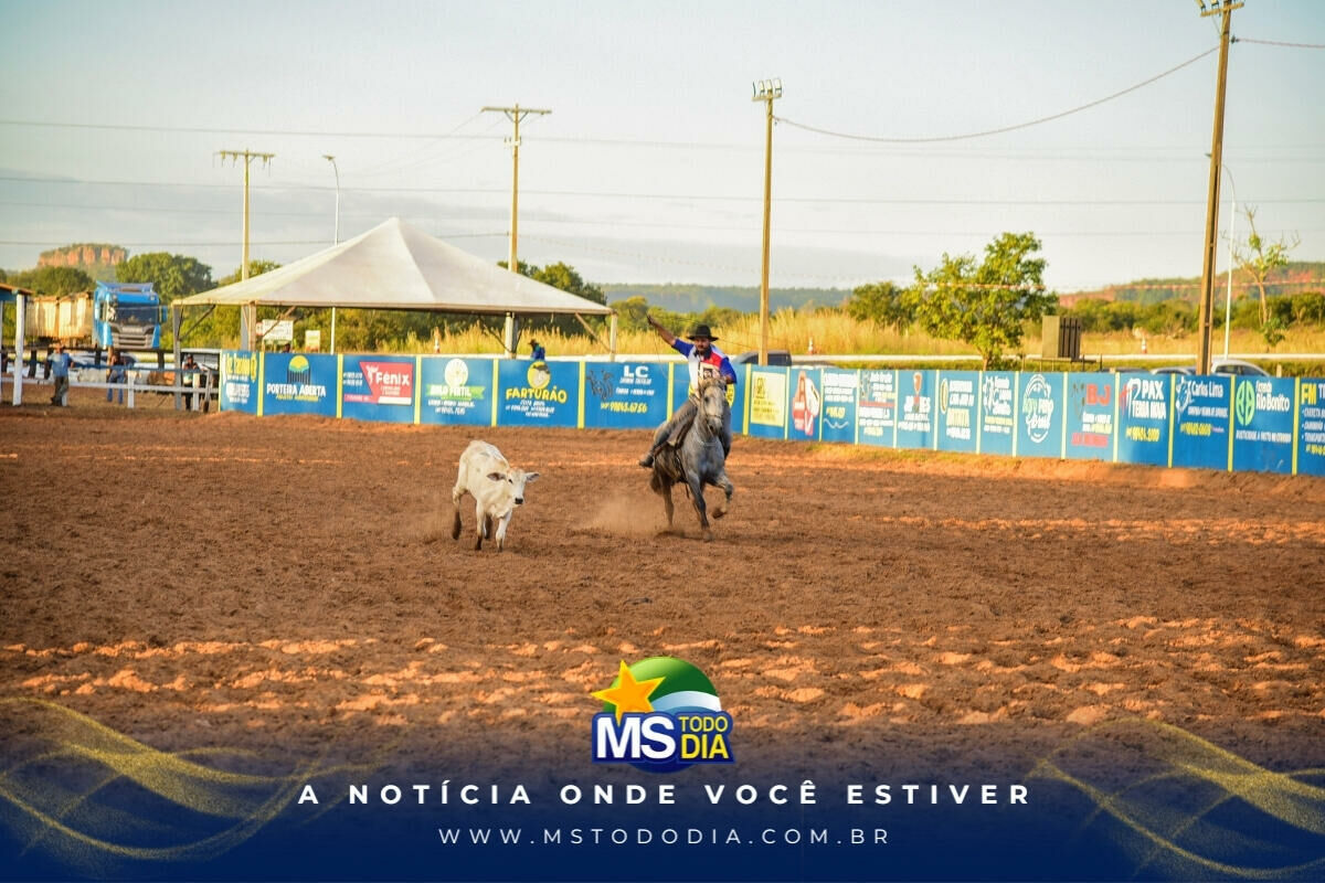 Imagem da Galeria